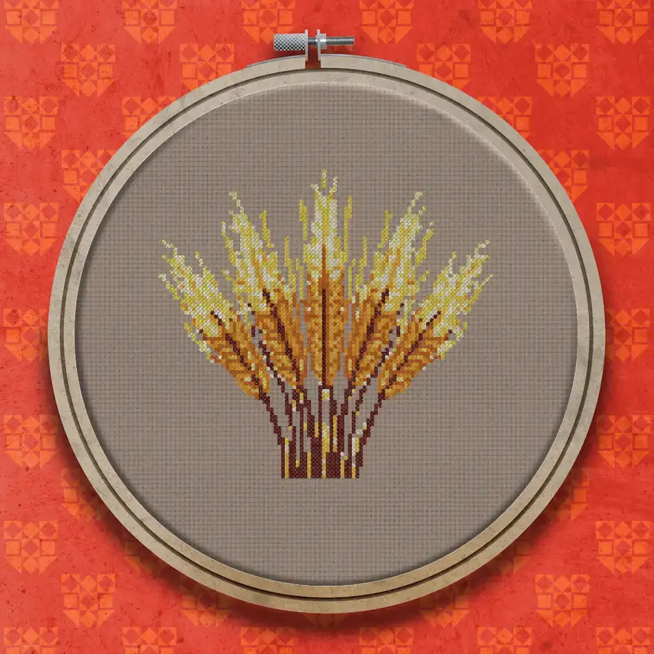 A bunch of golden barley ears with long bristly awns, joined by thin brown stems at the base, on a white background