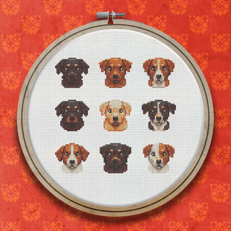 Nine dog face portraits arranged in a three by three grid, showing breeds in shades of brown, black, tan and cream on a light background.